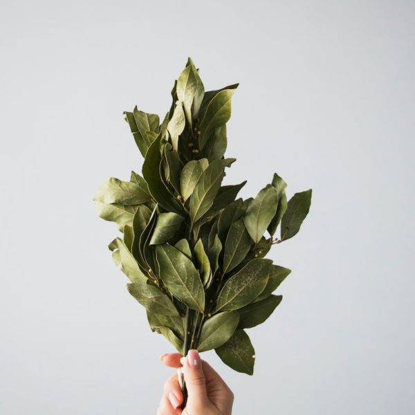 A Beginner’s Guide to Spells & Rituals