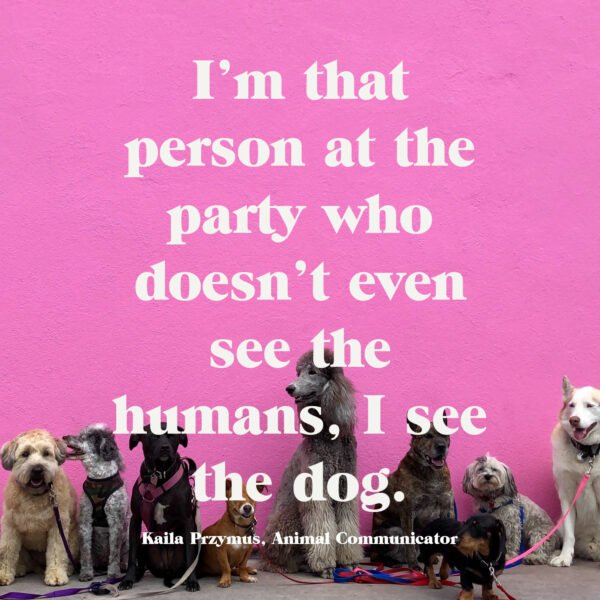 Kaila Przymus on Coming Out as an Animal Communicator